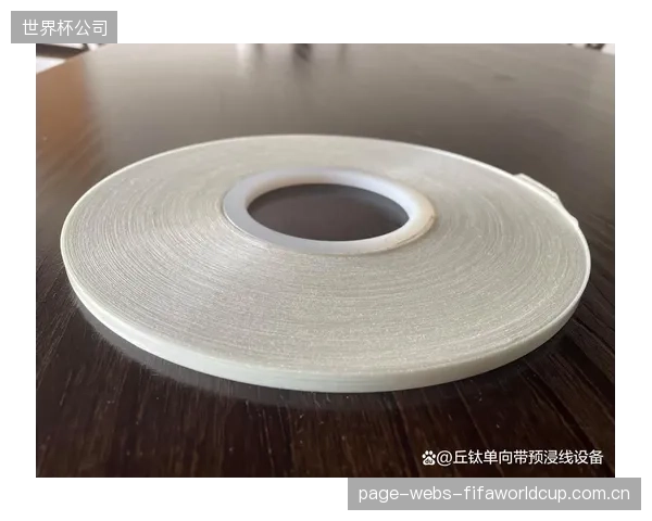 一套TPU-Carbon连续纤维熔融浸渍生产线投资超千万，面对这样的高门槛，晋江和莆田的中小鞋厂出路何在？
